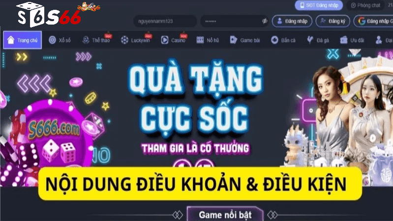 Điều kiện điều khoản S6666